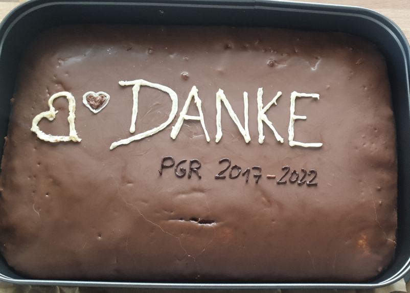 pgr_danke.png